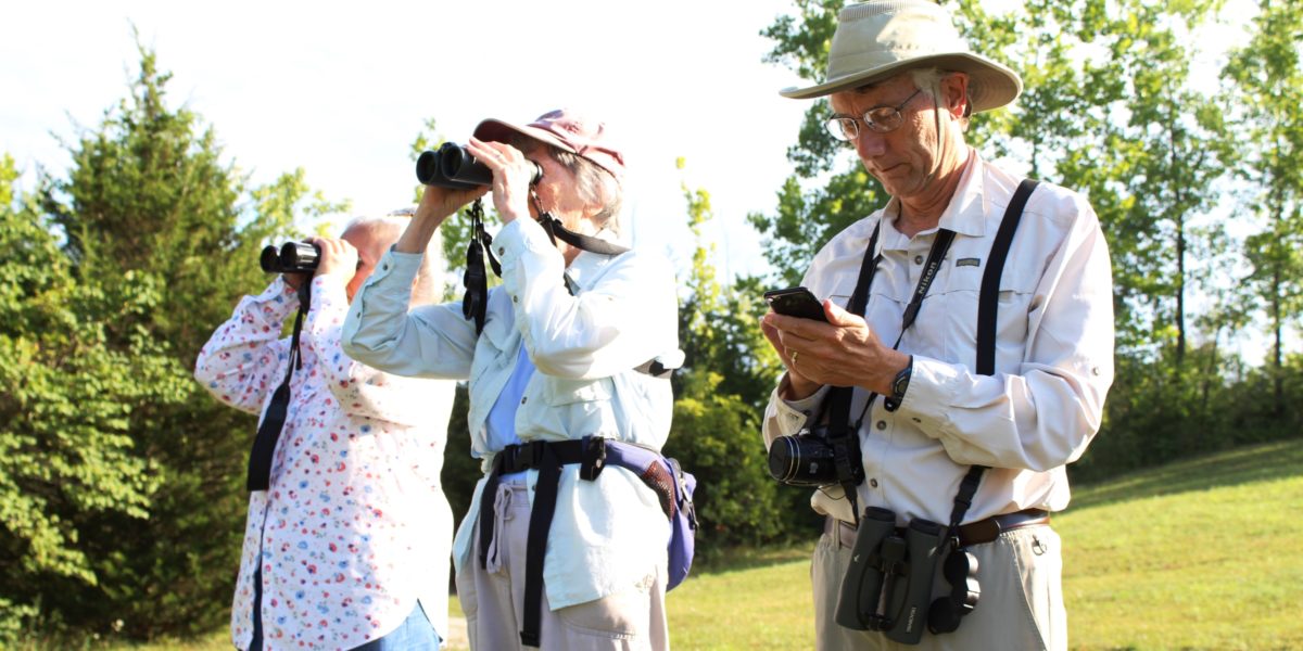 Monthly Bird-Watching Events Everyone Can Enjoy