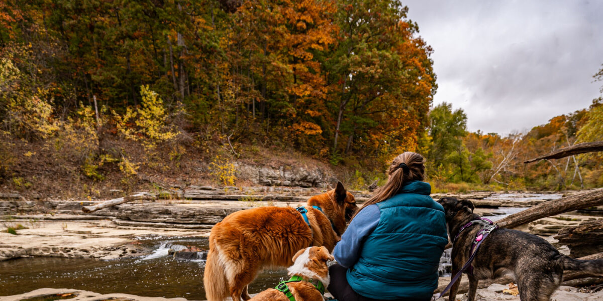 Put Your Furry Friends On The Trail